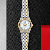 TUDOR Royal S&G