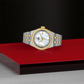 TUDOR Royal S&G