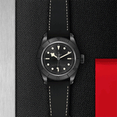 Tudor Black Bay Ceramic