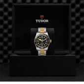 TUDOR Black Bay S&G Black Dial
