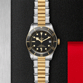 TUDOR Black Bay S&G Black Dial