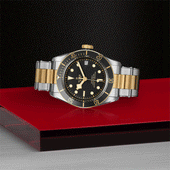 TUDOR Black Bay S&G Black Dial