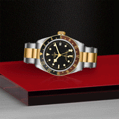 TUDOR Black bay GMT S&G