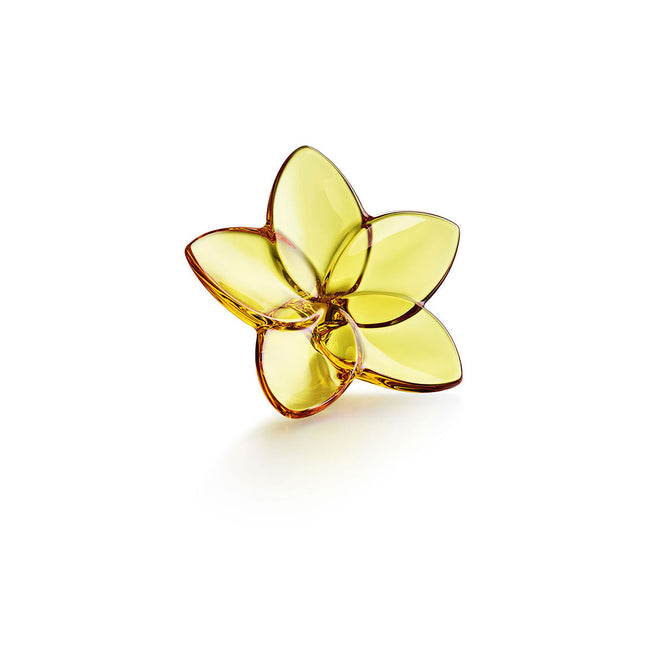 Baccarat Amber The Bloom Collection 2813014