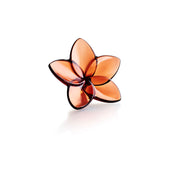 Baccarat Mahogany The Bloom Collection 2813015