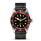 Tudor Black Bay 79230R-0011