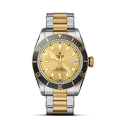 TUDOR Black Bay S&G Champagne Dial